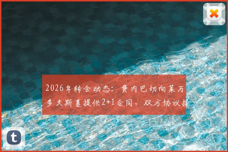2026年转会动态：费内巴切向莱万多夫斯基提供2+1合同，双方协议接近达成